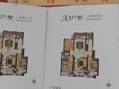 莒县开元上城29和31号楼A3A4户型面积建面约118和123平认筹中