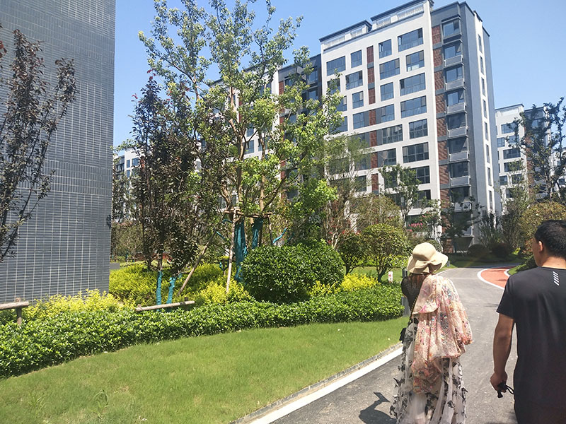莒县杏林苑茗筑小区客户看房中
