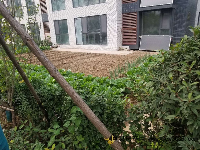 莒县一楼带院的房子楼房