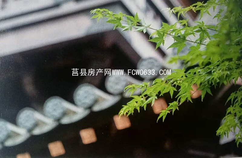 莒县别墅