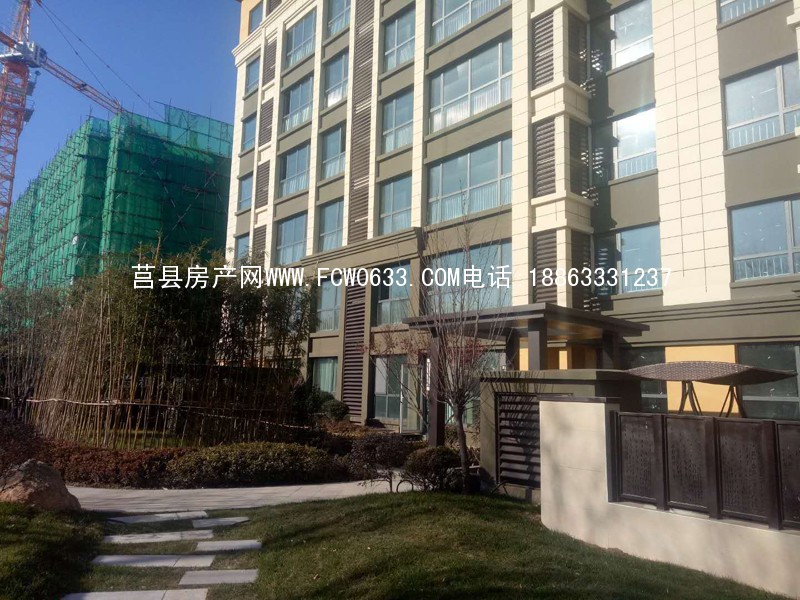 QQ图片20201205152751