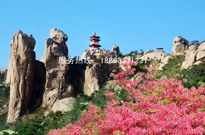 五莲山九仙山杜鹃花