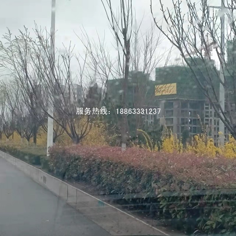 莒县史丹利滨河湾房价