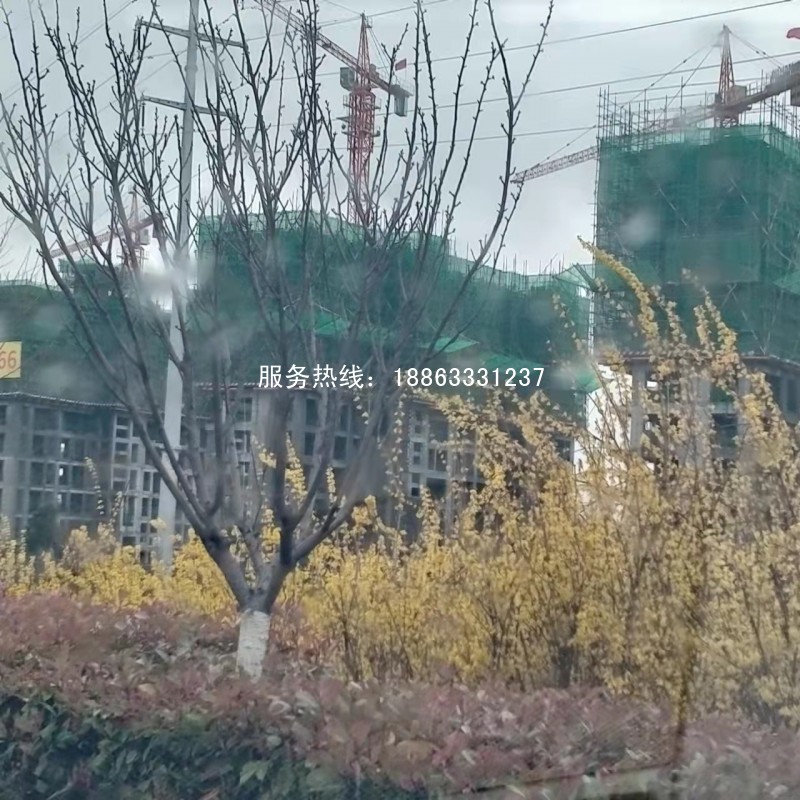 莒县史丹利滨河湾房价