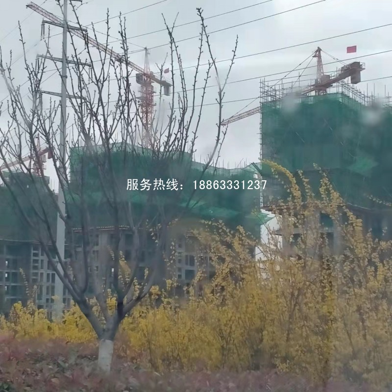莒县史丹利滨河湾房价