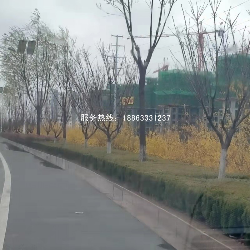 莒县史丹利滨河湾房价