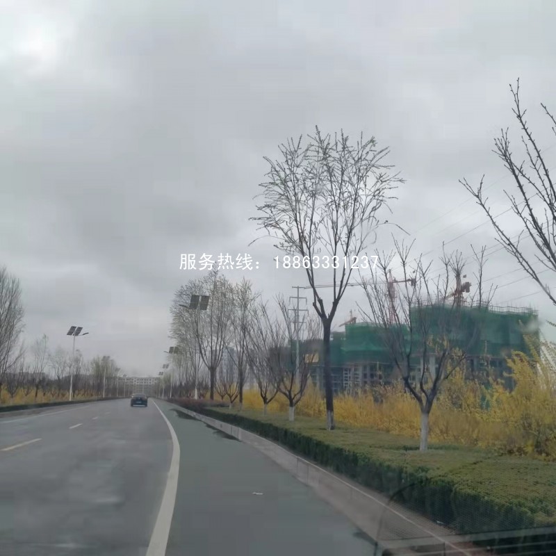 莒县史丹利滨河湾房价