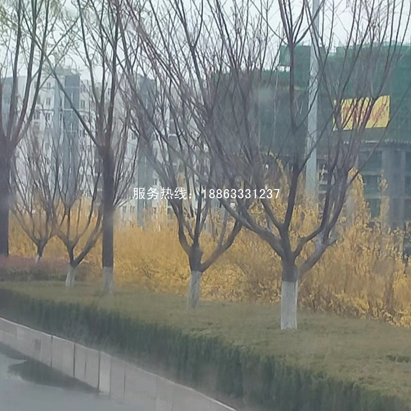 莒县史丹利滨河湾房价