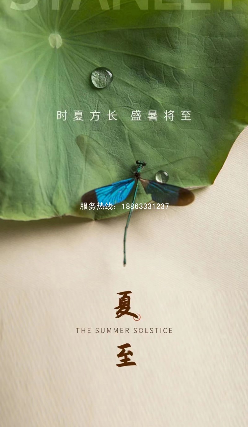 莒县史丹利