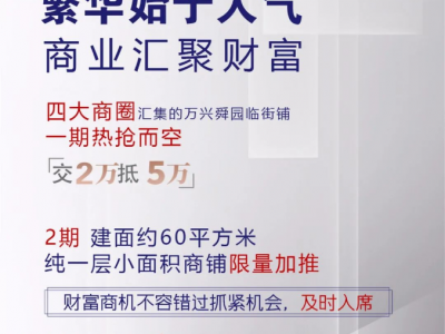 莒县万兴舜园古城旁商铺！莒县商铺沿街楼来了，交2万抵5万！